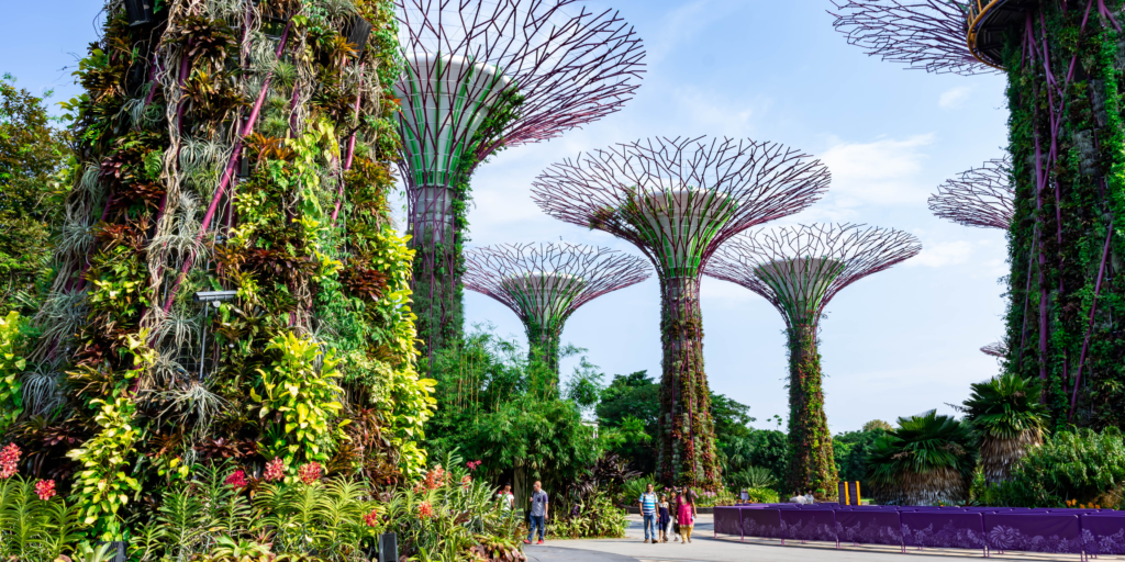 European Study Destinations for Sri Lankan